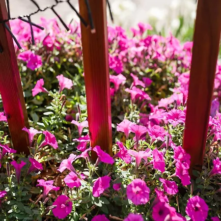 A Modern In The Hunsr Ck Region S Romantic Drohn Valley Merschbach