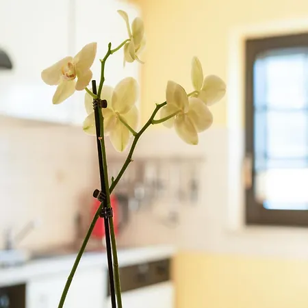 Apartman A Modern In The Hunsr Ck Region S Romantic Drohn Valley *