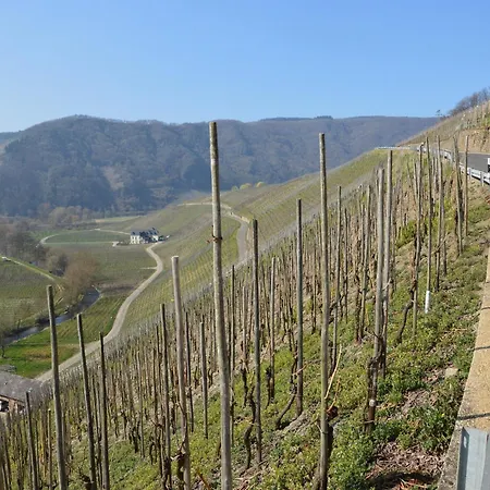 A Modern In The Hunsr Ck Region S Romantic Drohn Valley * Merschbach