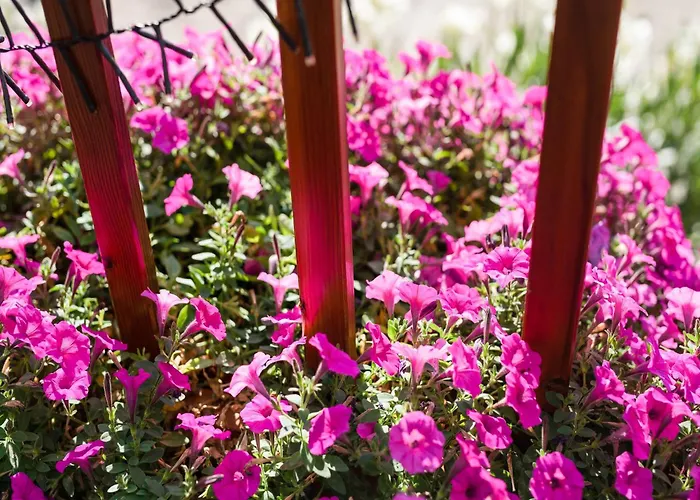 A Modern In The Hunsr Ck Region S Romantic Drohn Valley Merschbach