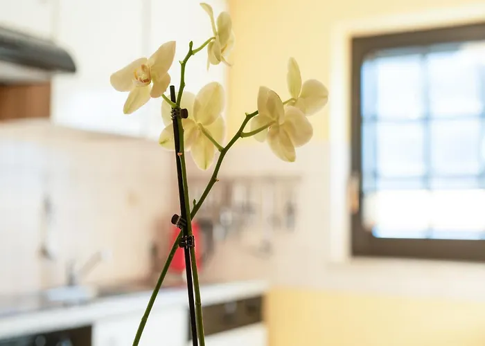 Lägenhet A Modern In The Hunsr Ck Region S Romantic Drohn Valley *