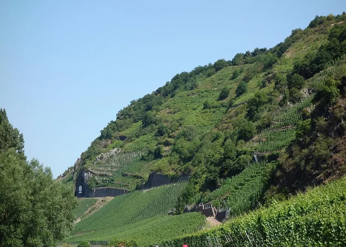 A Modern In The Hunsr Ck Region S Romantic Drohn Valley Lägenhet *