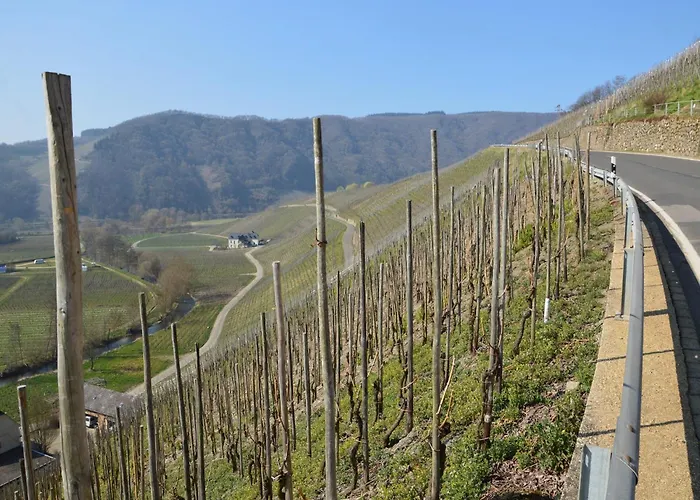 A Modern In The Hunsr Ck Region S Romantic Drohn Valley * Merschbach